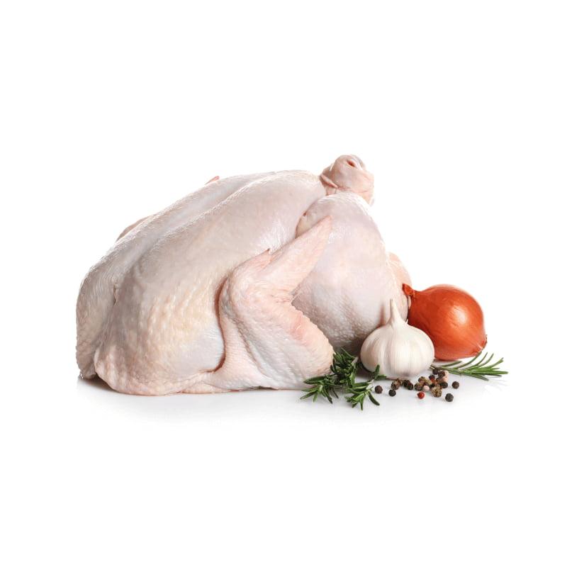 Turkey