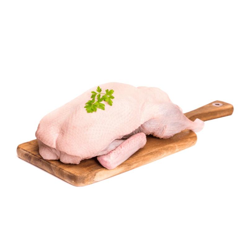 Duck